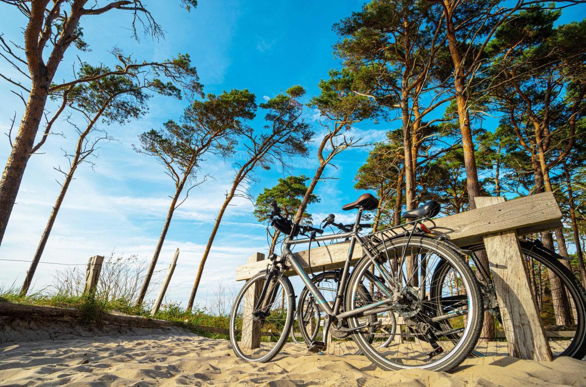 Strandhafer An Der Seebruecke Zingst Exteriér fotografie