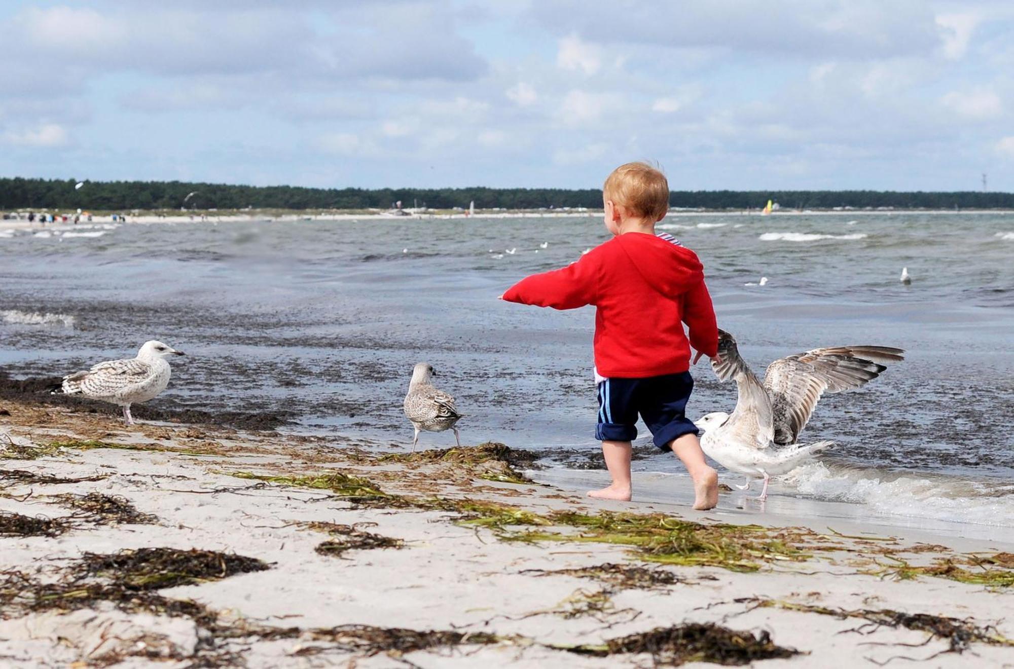 Strandhafer An Der Seebruecke Zingst Exteriér fotografie